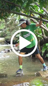 BIB:  <button type="button" onclick="openModal(27824329)" class="btn btn-primary btn-sm float-right" data-toggle="modal" data-target=".modal-high-quality">
                <i class="fa fa-download"></i> Download
                </button>